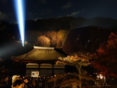 清水寺のレーザー光