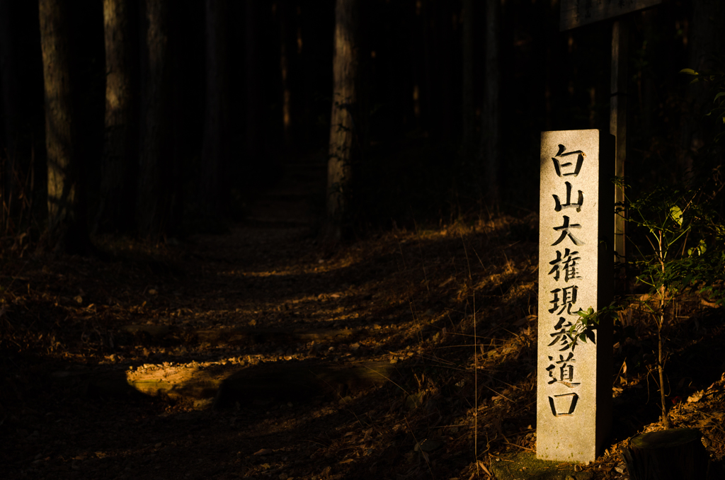 暗がりを行く