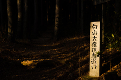 暗がりを行く