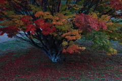 グラデーション