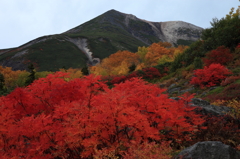 紅緋と剣ケ峰