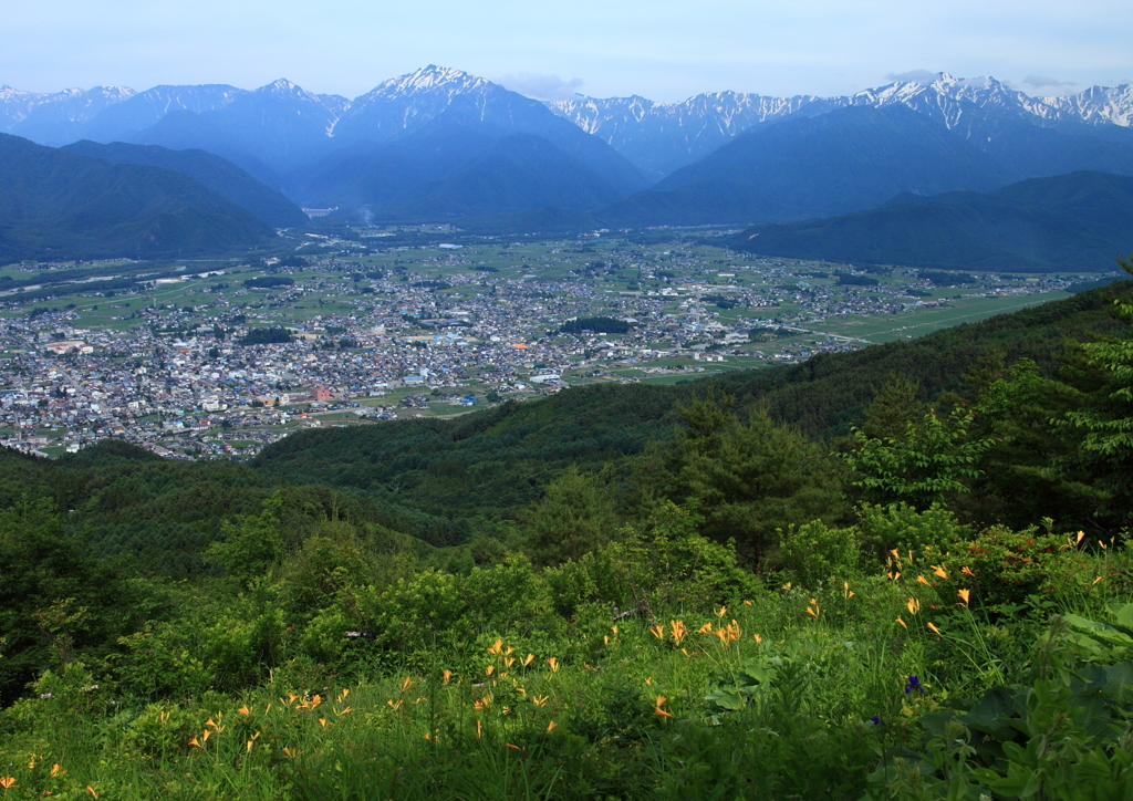 初夏アルプス遠景