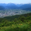 初夏アルプス遠景