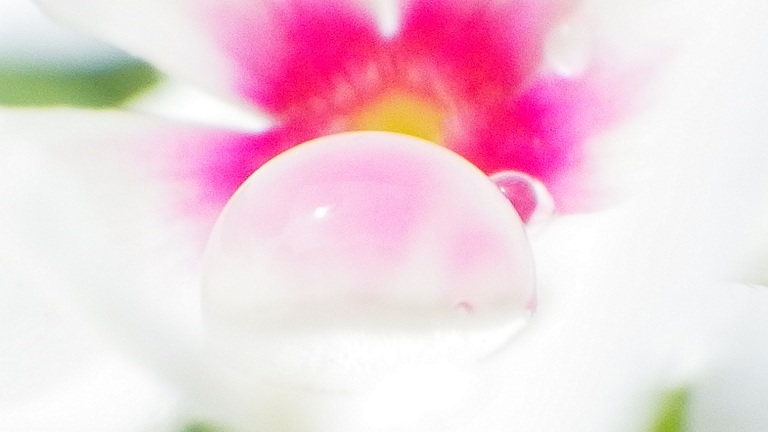 水玉２
