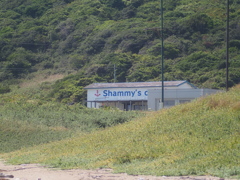 海カフェ