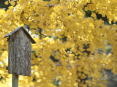 東大寺 読めない重み
