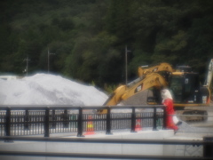 CAT前を歩く猫さん CAT前を歩く猫さん