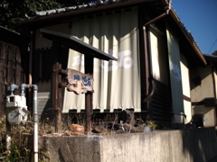 何の店か・・・（暖簾３）