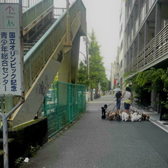 代わってください！！その役目