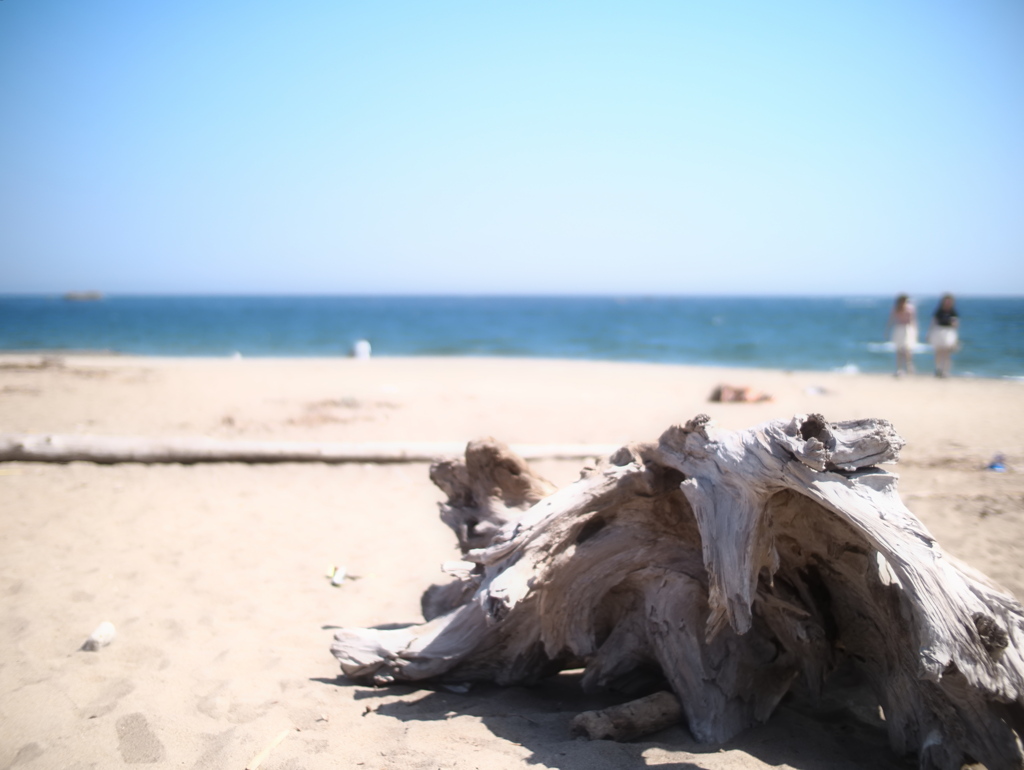 流れ寄る・・