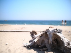 流れ寄る・・