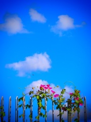 もうすぐ僕たちの空・・