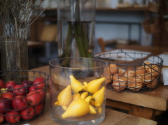 キツネなんとなく秋