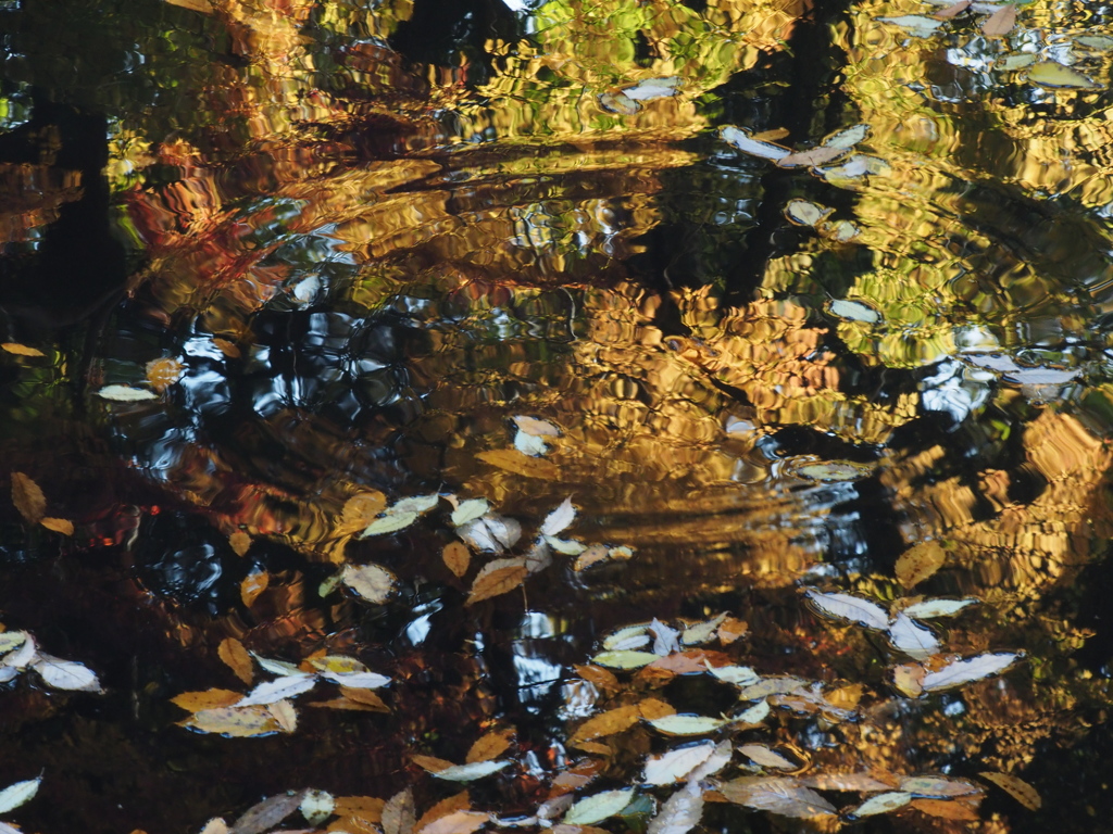 Autumn sinks.