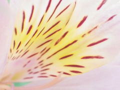 向こうの青空！