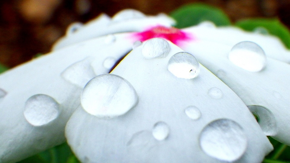 水玉４