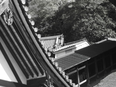 二月堂　巴紋