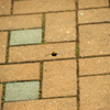 この子には失礼ながら、クスッと