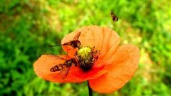 おっと遅れた～お待たせ～！