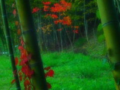 秋紅葉