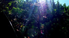 織物のよう・・