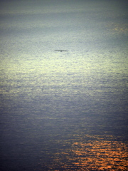 Variation of the Sea ⅱ