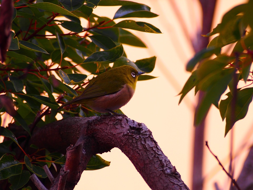 こんなこみたことない　その３