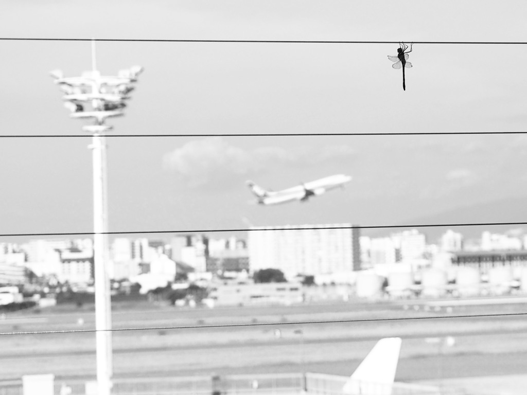 Let's fly together!