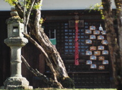 鬼子母神様