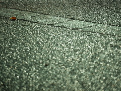 雨上がり