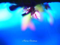 クリスマスに