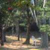 湖畔の宿