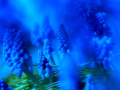 藍より出でて・・