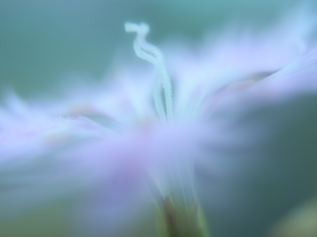 夕～朝～「夕」　（３）