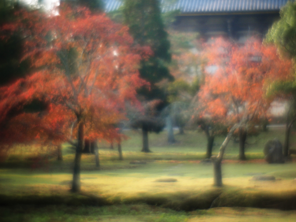 behind 大仏殿