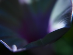 セラミック　Ⅲ