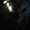 1/ｆ
