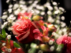 season's greetings2