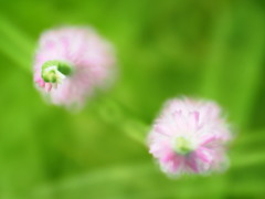 身をよじるほどの・・