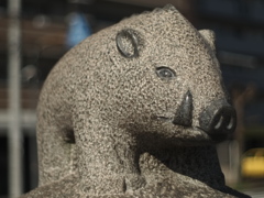 宇宙( COSMOS in NARA  天と地と太陽)「亥（いのしし）」