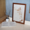 Vintage Botanical Plants
