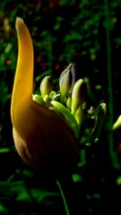 こぼれ落ちるかな？