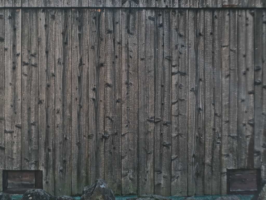 塀、撮りますとも