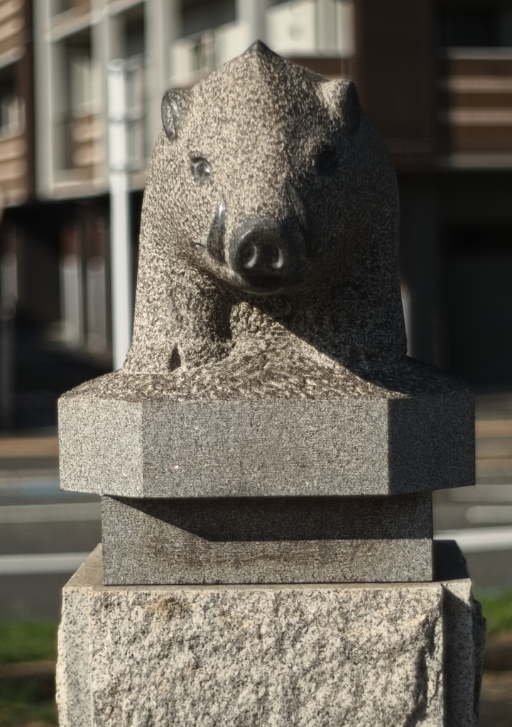 宇宙( COSMOS in NARA  天と地と太陽)「亥（いのしし）」その弐
