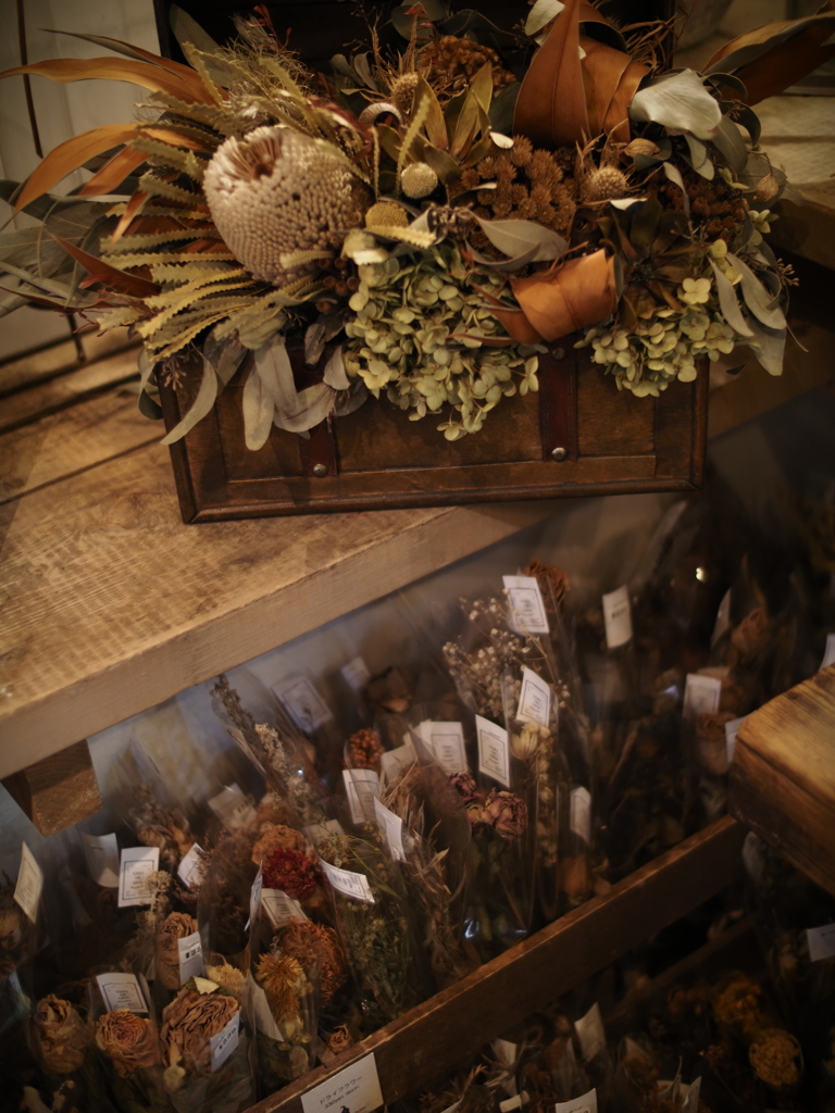 Pump小屋は花盛Ⅱ