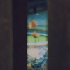 奈良散策 Ⅲ（Lotus）