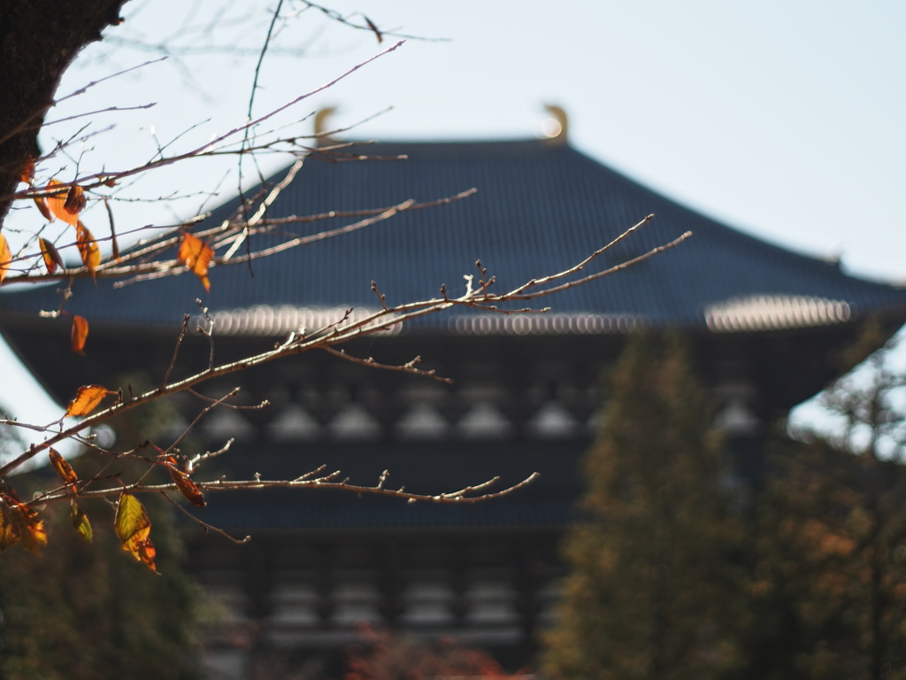 東大寺  甍（いらか）の重み