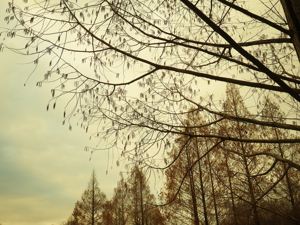 cloudy