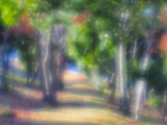 小逕