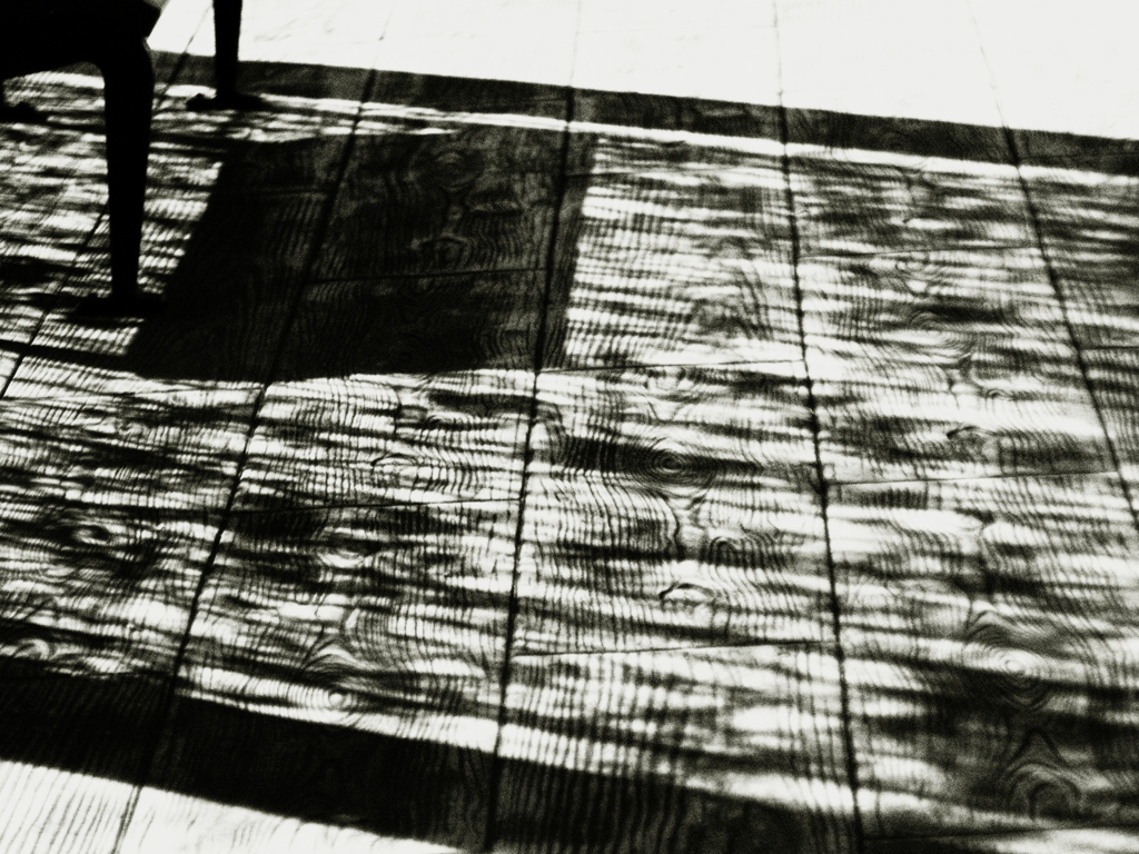 しらんぷり～！